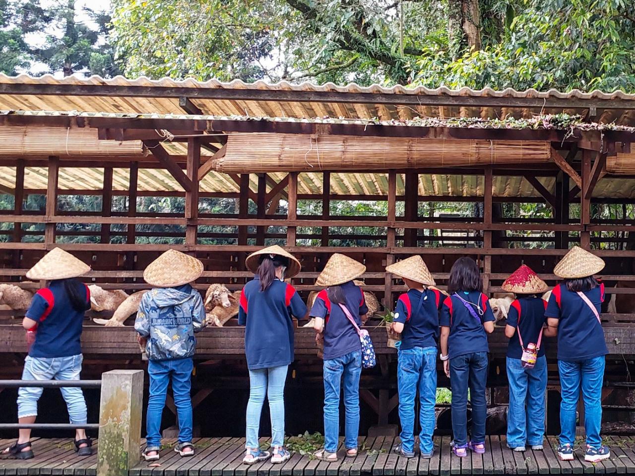 Puncak Bogor: Tempat Wisata dan Aktivitas