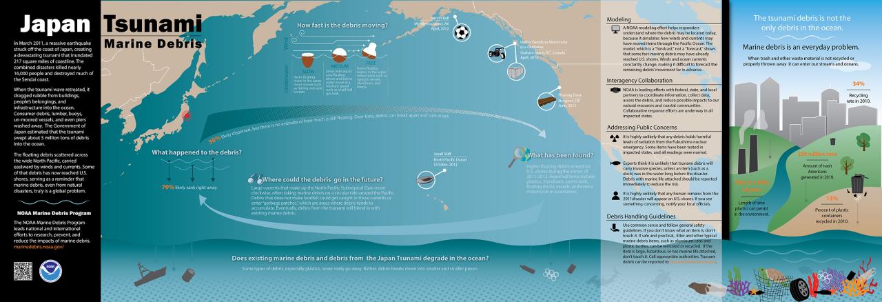 Dampak Awan Tsunami terhadap Ekosistem Laut