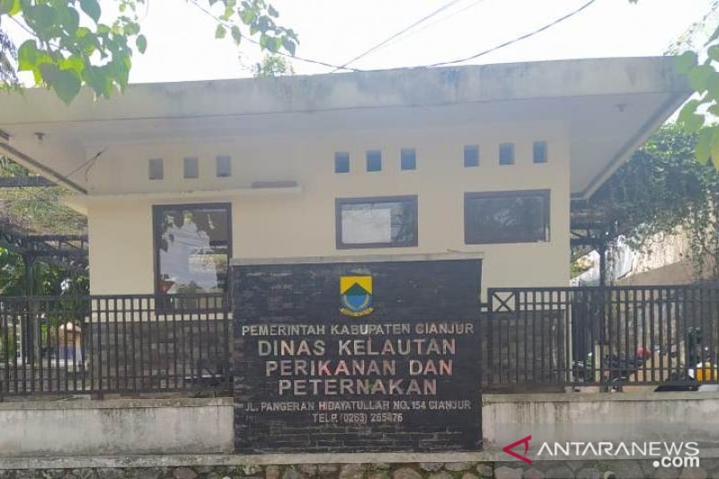 Penangkaran di Cianjur Jebol, Buaya Masuk Rumah Warga