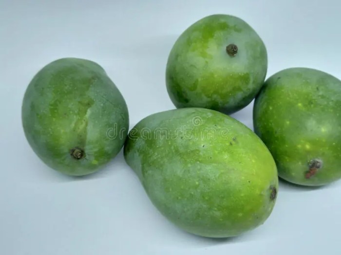 MITOTO - Mangga Harum Manis Asal Indonesia